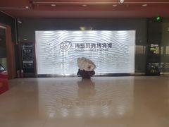 -青岛贝壳博物馆