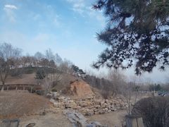 -莫子山公园