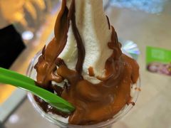 -Salud撒露欧洲冻酸奶(北苑上品店)