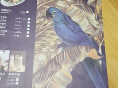 -鹦鹉小厨味道餐厅(山大南路店)