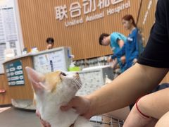 -联合动物医院(光谷诊疗中心)