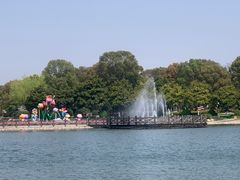 -上海鲜花港