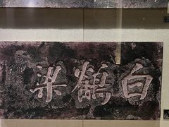 -白鹤梁水下博物馆