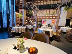 -桂满陇·海市蜃楼·黑金(国金店)