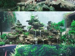 -乌山风景区