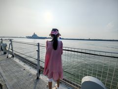 -泰达航母主题公园