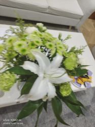 -HEYAN长风荷妍专业脱毛美肤
