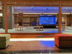 -大江户·温泉洗浴(浑南店)