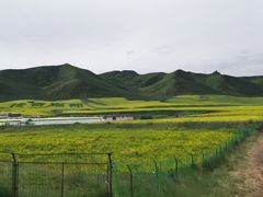 -扁都口生态休闲旅游区