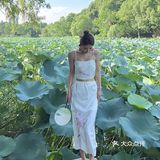 南京‘40度高温就为了来玄武湖喝咖啡拍荷花！