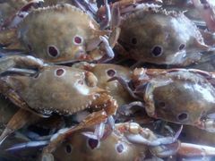 牛肉-金捞自助火锅烤肉店(阳华路店)