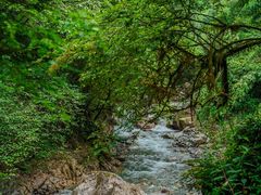 -西岭雪山大飞水景区