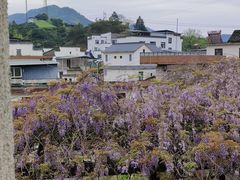 -新安江山水画廊风景区