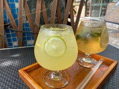 -柴犬高等学院·狗咖·柴犬售卖·宠物训练