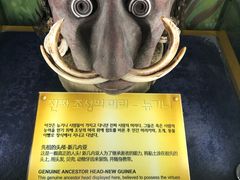 -信不信由你博物馆