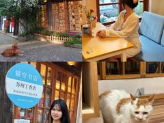 -猫的天空之城概念书店(苏州平江店)