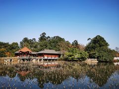 -巴山·烤全羊(高新总店)