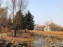 -长春净月潭风景名胜区