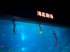 -福州罗源湾海洋世界旅游区