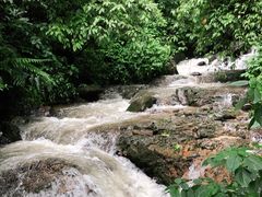 -莫里热带雨林景区