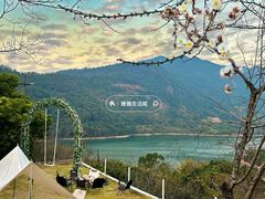 -广州市流溪河国家森林公园
