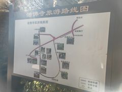 -波尔登森林公园