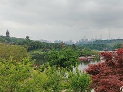 -重庆园博园