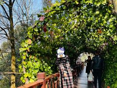 -石燕湖生态旅游景区