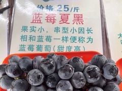 -马陆小张葡萄园农家乐