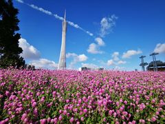 -海心沙亚运公园