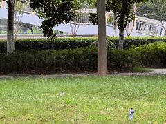-天鹅湖体育公园