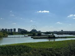 -光岳楼