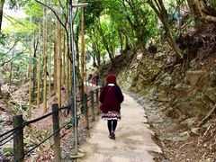 -岚山猴子公园