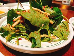 -云海肴云南菜(花园城店)