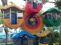 -南宫五洲植物乐园