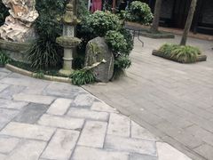 -月圆霖特色农家乐