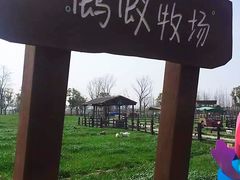 -田园东方蜜桃村的田野营地