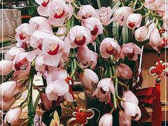 -豆豆花艺(新光天地店)