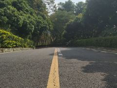 -大屏嶂森林公园