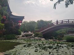 -华清宫景区