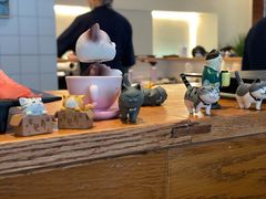 -昊·来了寿司(泡桐树店)