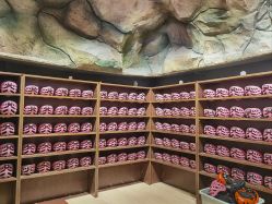 -探洞工场(丰科万达旗舰店)