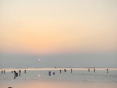 -东辰望海鱼码头·海鲜餐厅