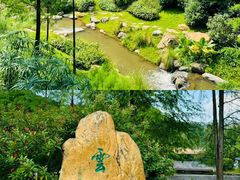 -云溪植物园