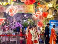 -正佳雨林生态植物园