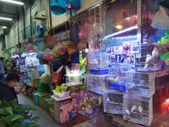 -双季花艺园艺市场(浦东店)