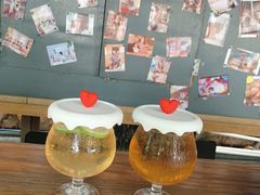 -柴犬高等学院·狗咖·柴犬售卖·宠物训练