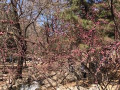 -天津盘山风景名胜区