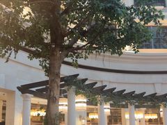 -漢咖啡·全服务式自助晚餐(武汉洲际酒店)