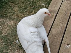 -音乐台